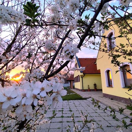 Penzion Arkadia Kyselica Exteriér fotografie