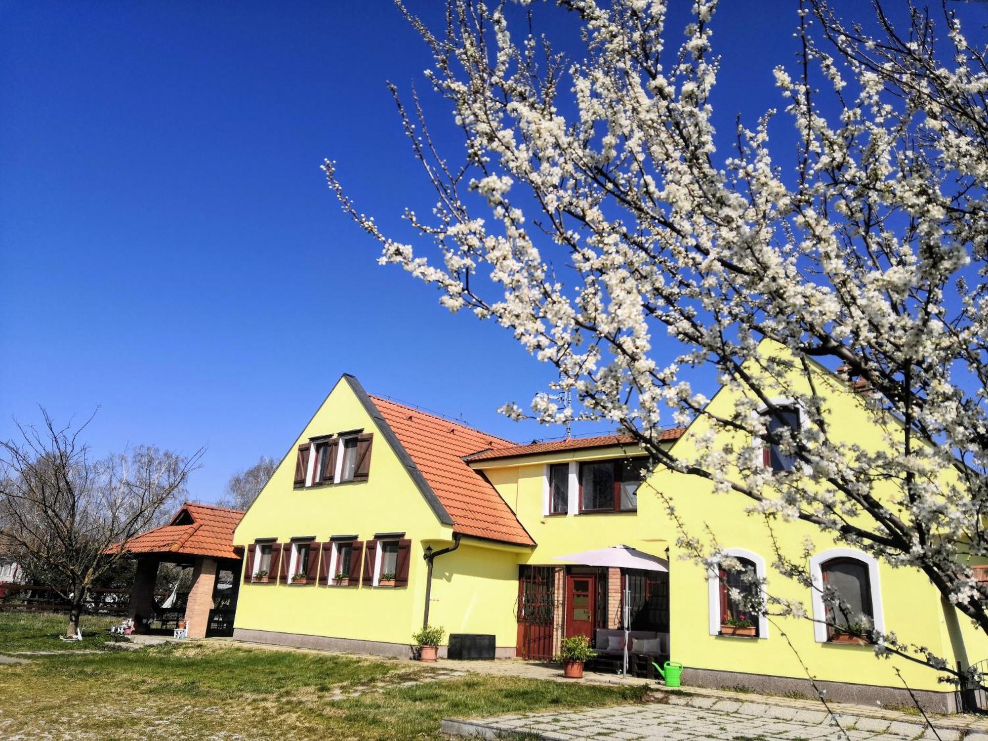 Penzion Arkadia Kyselica Exteriér fotografie