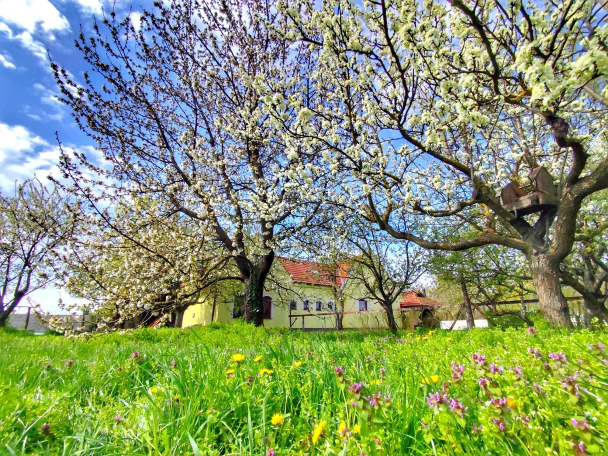 Penzion Arkadia Kyselica Exteriér fotografie