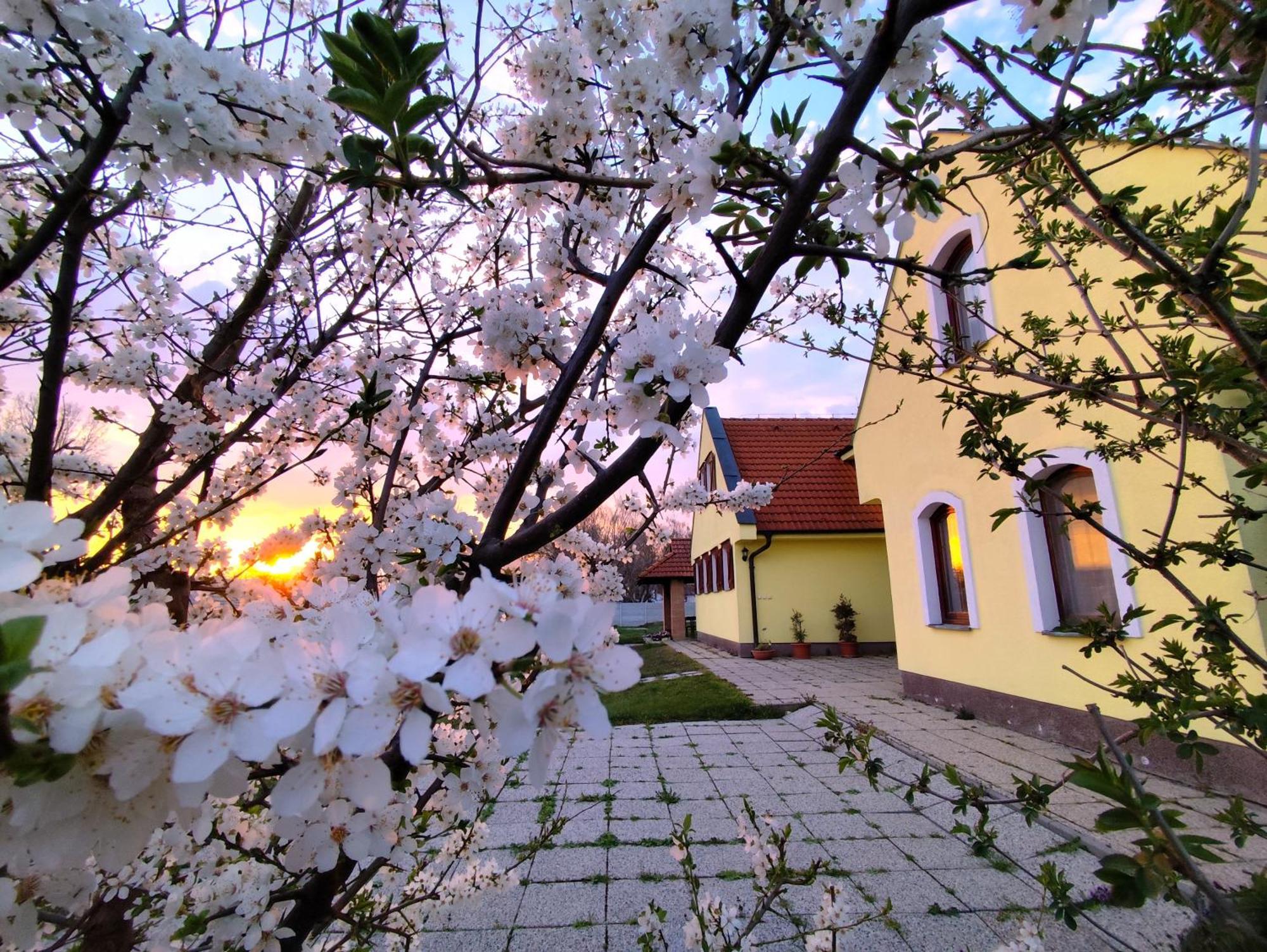 Penzion Arkadia Kyselica Exteriér fotografie